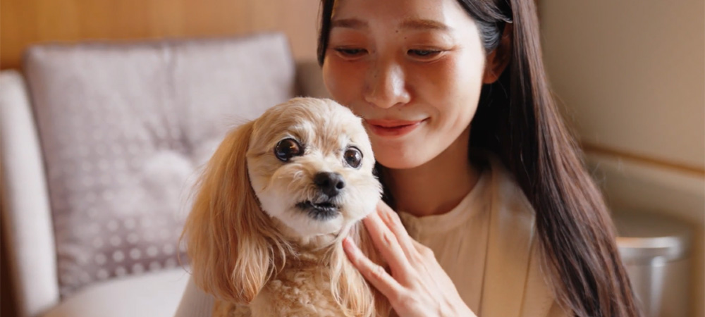 【ドッグルームプラン】愛犬と一緒に贅沢なひとときを ～Happy Paws Stay～