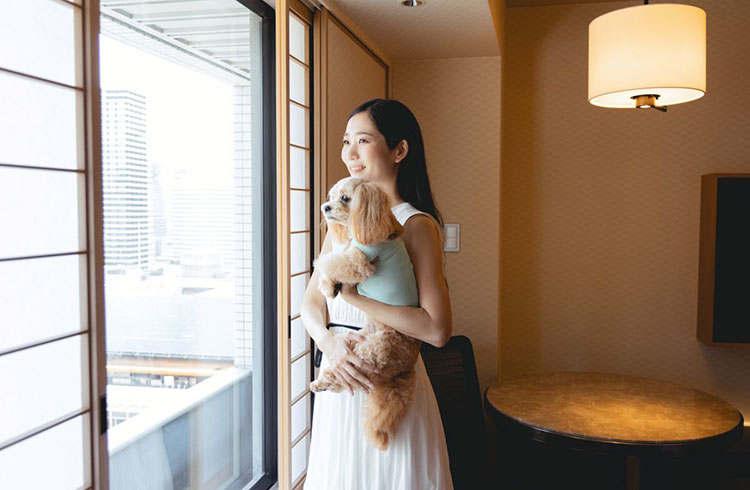 【ドッグルームプラン】愛犬と一緒に贅沢なひとときを ～Happy Paws Stay～